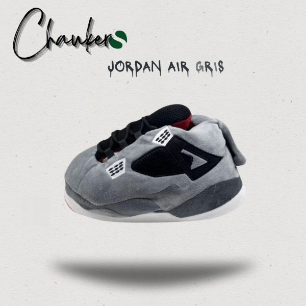 Chausson Sneakers Jordan Air Gris