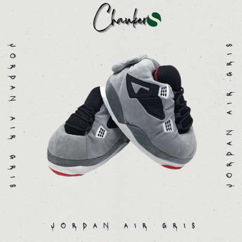 Chausson Sneakers Jordan Air Gris