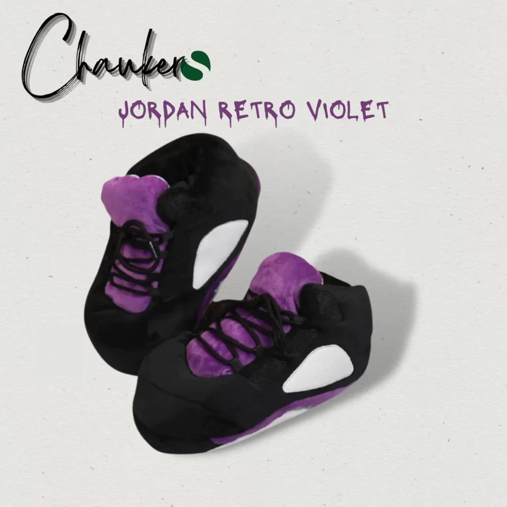 Chausson Sneakers Jordan Retro Violet