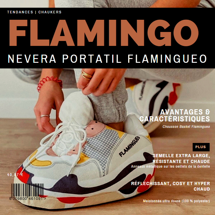 chaussons sneakers flamingueo