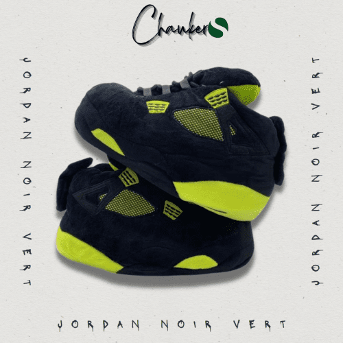 Chausson Sneakers Jordan Noir Vert