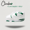 Chausson Sneakers Baskets Flamingueo Vert : confort, style et durabilité pour des pieds heureux