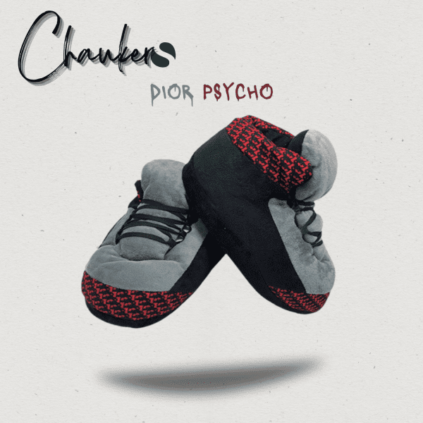 Chausson Sneakers Baskets Dior Psycho