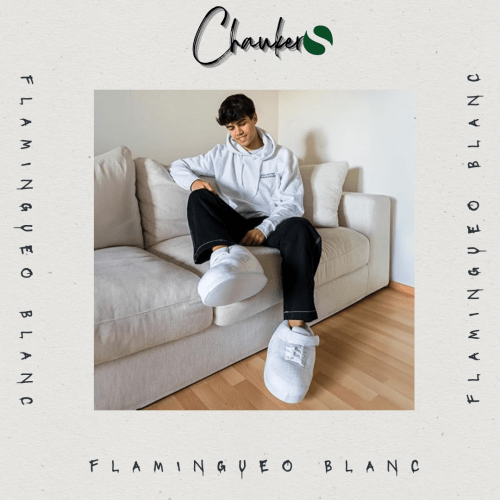 Chausson Sneakers Baskets Flamingueo Blanc : Confort et Originalité Réunis