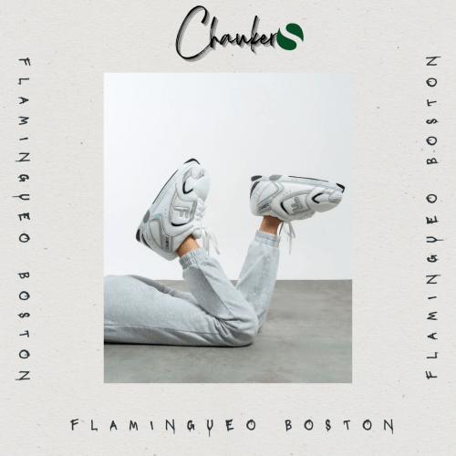 Chausson Sneakers Baskets Flamingueo Boston : Confort et Fun pour l'Hiver