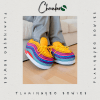 Chausson Sneakers Baskets Flamingueo Bowies : Éclat Multicouleurs et Confort